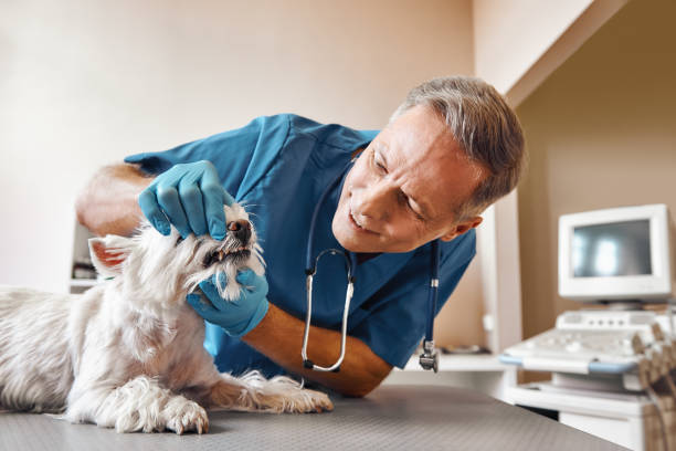 Best Emergency Tooth Extraction in Huron, SD